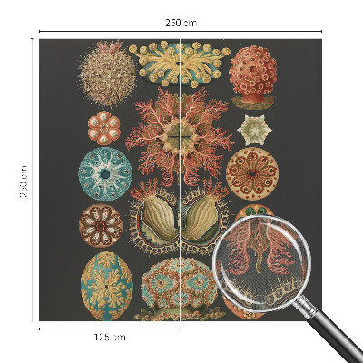 Savaime lipnus fototapetas Įkvėpėjas