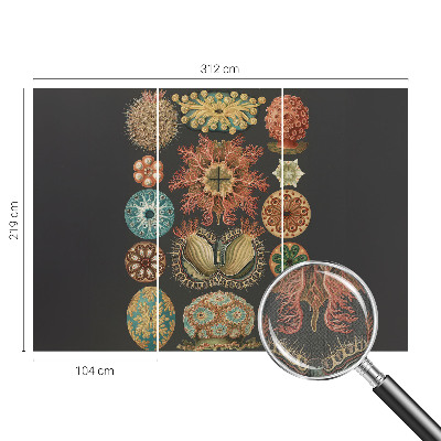 Savaime lipnus fototapetas Įkvėpėjas