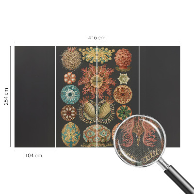 Savaime lipnus fototapetas Įkvėpėjas