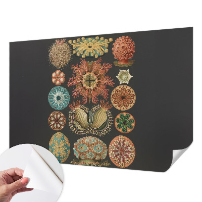 Savaime lipnus fototapetas Įkvėpėjas