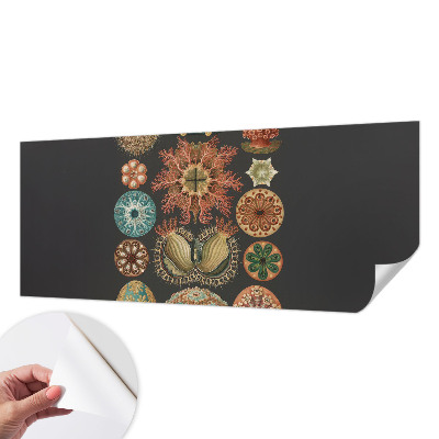 Savaime lipnus fototapetas Įkvėpėjas