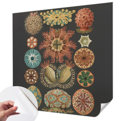 Savaime lipnus fototapetas Įkvėpėjas