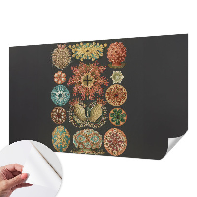 Savaime lipnus fototapetas Įkvėpėjas