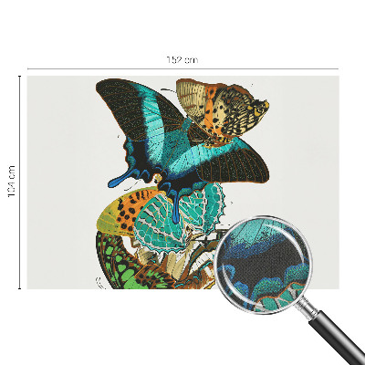 Fototapetas vaikams Spalvinga vasaros fuglia