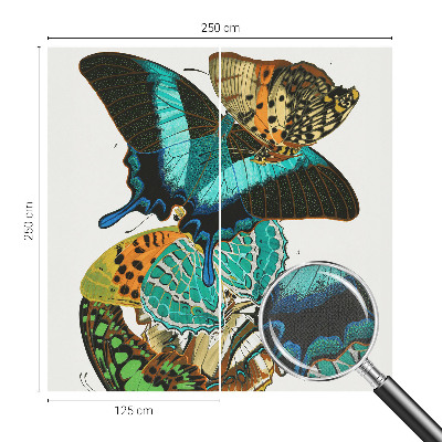 Fototapetas vaikams Spalvinga vasaros fuglia