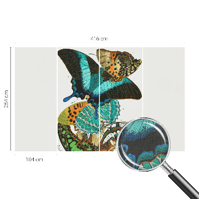 Fototapetas vaikams Spalvinga vasaros fuglia