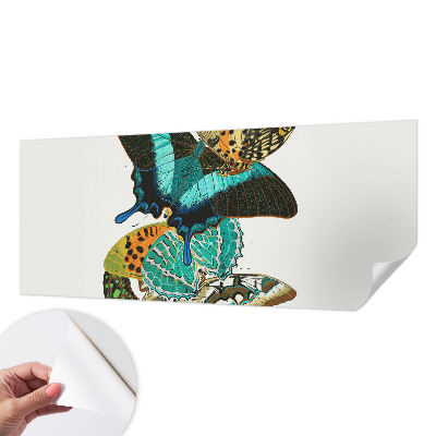 Fototapetas vaikams Spalvinga vasaros fuglia