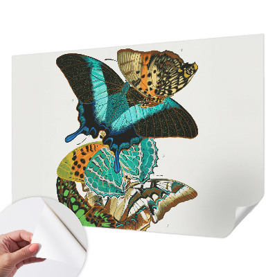 Fototapetas vaikams Spalvinga vasaros fuglia