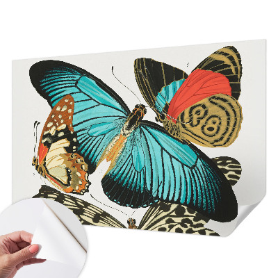 Fototapetai Spalvinga vasaros fuglia