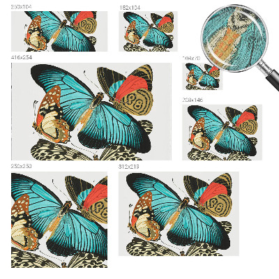 Fototapetai Spalvinga vasaros fuglia