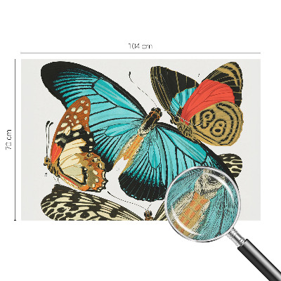 Fototapetai Spalvinga vasaros fuglia