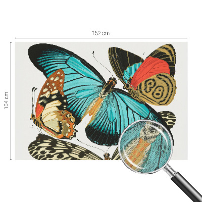 Fototapetai Spalvinga vasaros fuglia