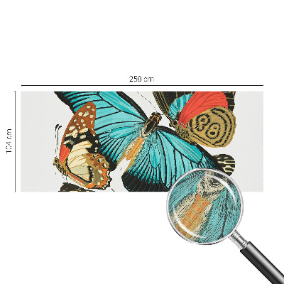 Fototapetai Spalvinga vasaros fuglia