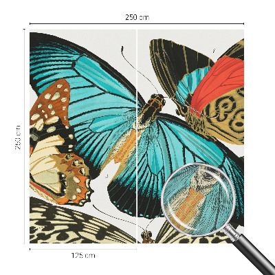 Fototapetai Spalvinga vasaros fuglia