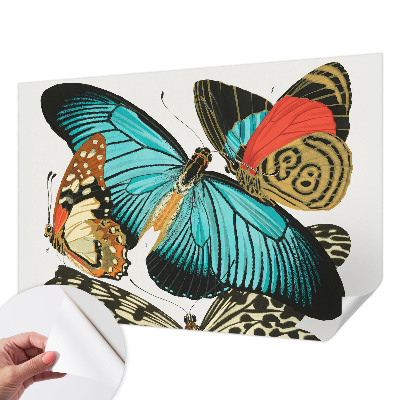 Fototapetai Spalvinga vasaros fuglia