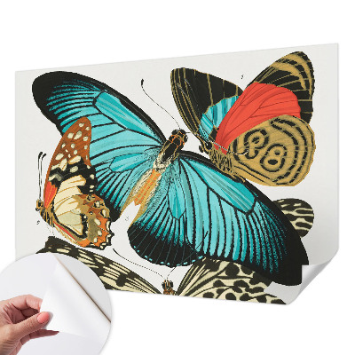 Fototapetai Spalvinga vasaros fuglia