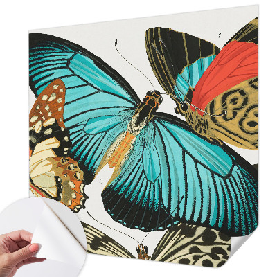 Fototapetai Spalvinga vasaros fuglia