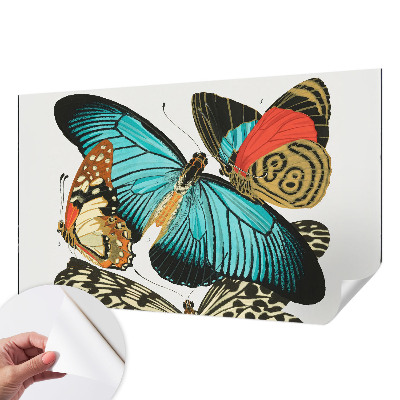 Fototapetai Spalvinga vasaros fuglia