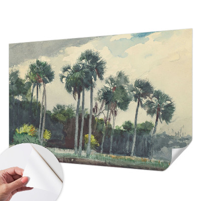 3D fototapetas su egzotine palmės motyvo dekoracija
