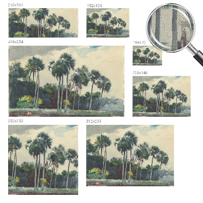 3D fototapetas su egzotine palmės motyvo dekoracija