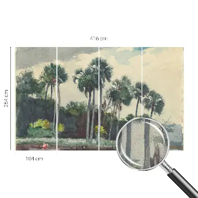3D fototapetas su egzotine palmės motyvo dekoracija