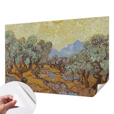 3D fototapetas Oliventræer