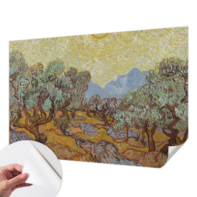 3D fototapetas Oliventræer