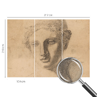 Savaime lipnus fototapetas Moterų portretai