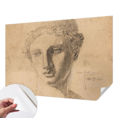 Savaime lipnus fototapetas Moterų portretai