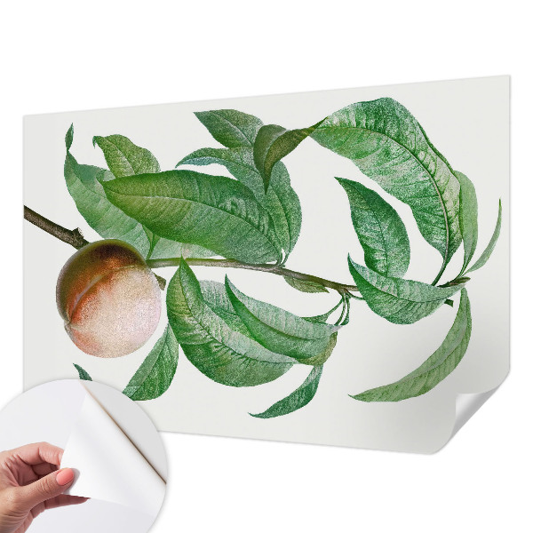 Fototapetai Moden fersken