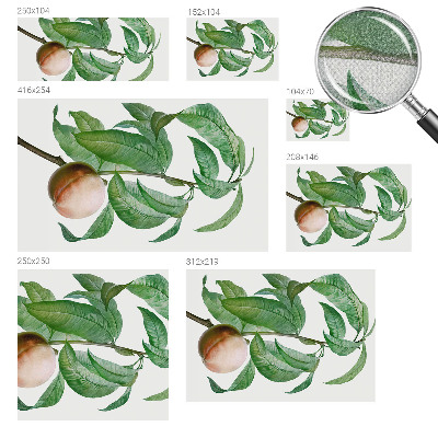 Fototapetai Moden fersken