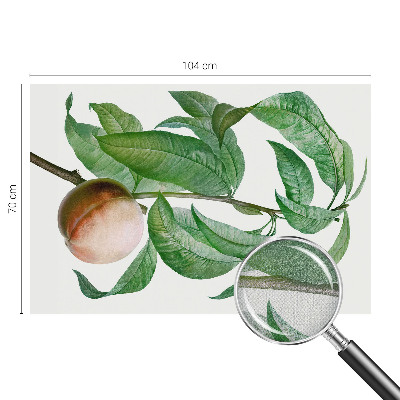 Fototapetai Moden fersken