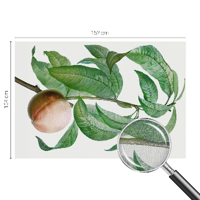 Fototapetai Moden fersken