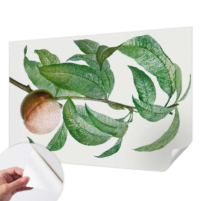 Fototapetai Moden fersken