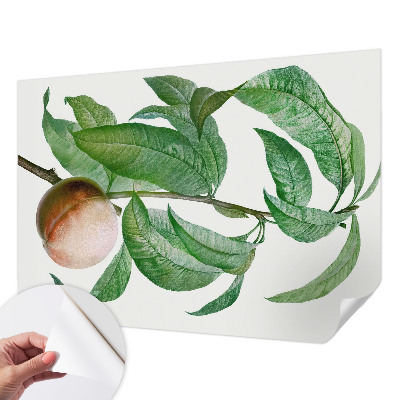 Fototapetai Moden fersken