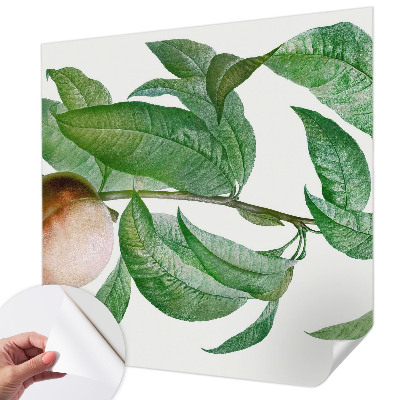 Fototapetai Moden fersken