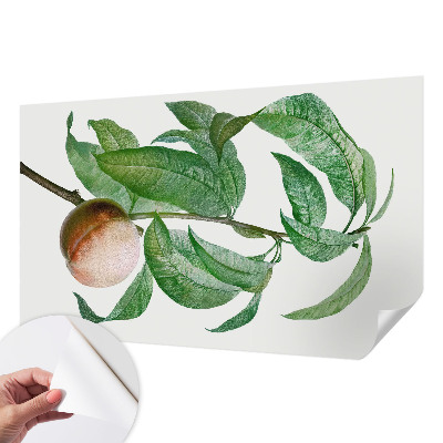 Fototapetai Moden fersken