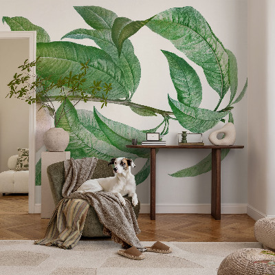 Fototapetai Moden fersken