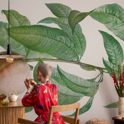 Fototapetai Moden fersken