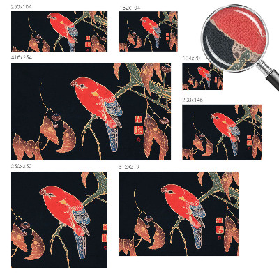 Fototapetai Egzotiškas fugl