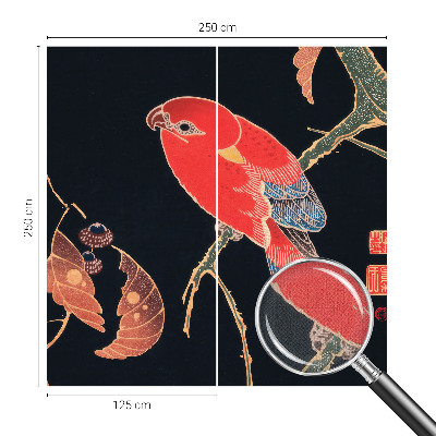 Fototapetai Egzotiškas fugl