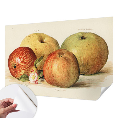 Savaime lipnus fototapetas Ebleblomsteris