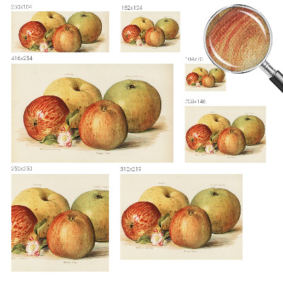 Savaime lipnus fototapetas Ebleblomsteris