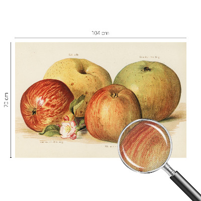 Savaime lipnus fototapetas Ebleblomsteris