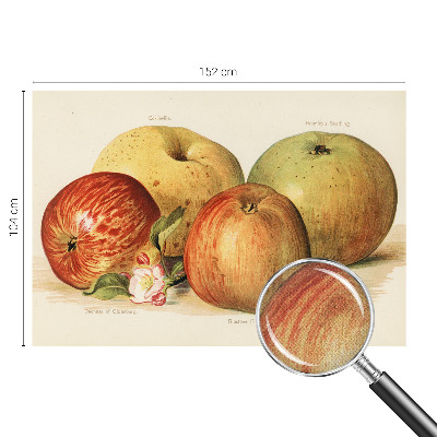 Savaime lipnus fototapetas Ebleblomsteris