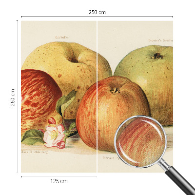 Savaime lipnus fototapetas Ebleblomsteris