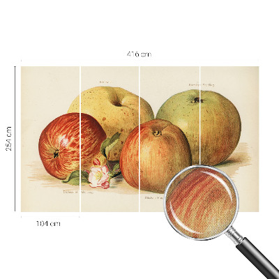 Savaime lipnus fototapetas Ebleblomsteris