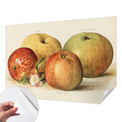 Savaime lipnus fototapetas Ebleblomsteris