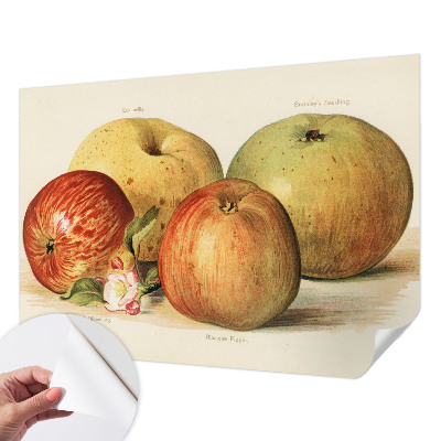 Savaime lipnus fototapetas Ebleblomsteris