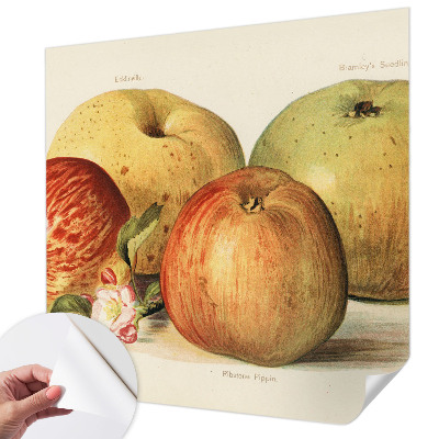 Savaime lipnus fototapetas Ebleblomsteris